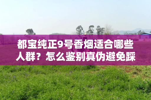都宝纯正9号香烟适合哪些人群？怎么鉴别真伪避免踩坑？
